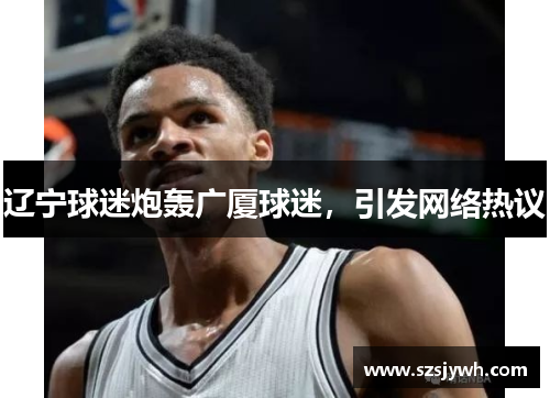 辽宁球迷炮轰广厦球迷,引发网络热议